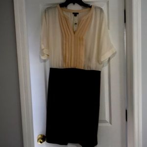 Ann toylor work dress